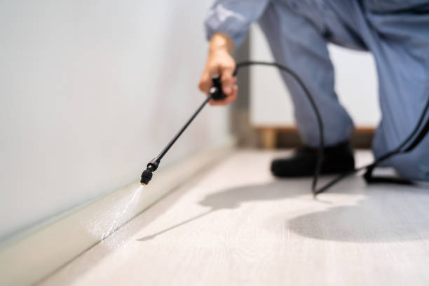 Licensed Termite Control service in Nokesville, VA - Nex Pest Control