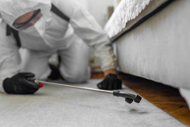 Professional Termite Control technician working in Nokesville, VA