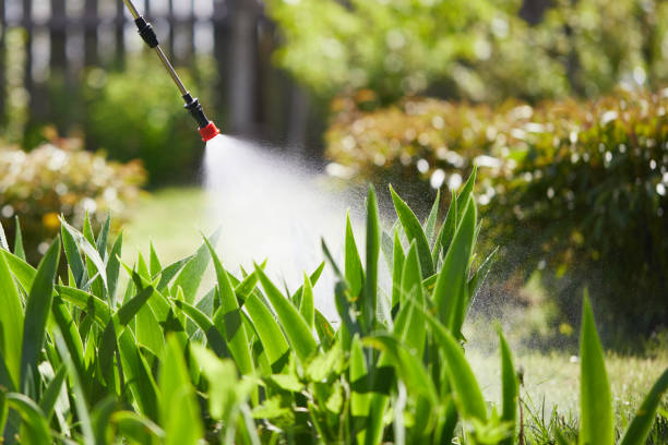 24/7 Emergency Termite Control experts in Nokesville, VA