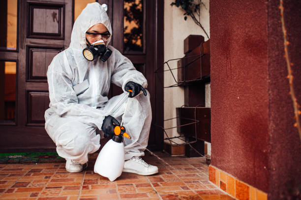 Reliable Termite Control contractor in Nokesville, VA by Nex Pest Control
