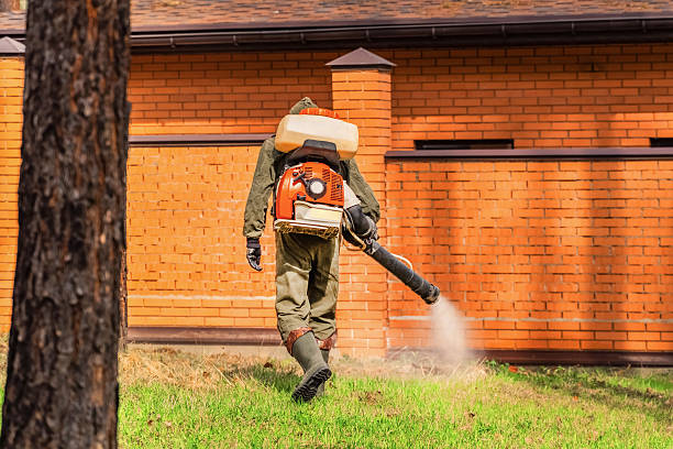 Trusted Emergency Pest Control service in Nokesville, VA - Nex Pest Control